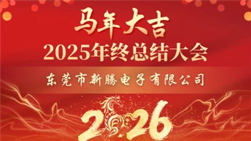 The Company's 2025 Year-end Summary Meeting Concluded Successfully.